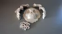 skull_3.webp