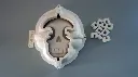 skull_2.webp